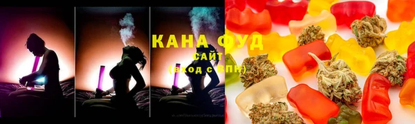 ешки Гусев