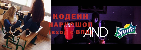 ешки Гусев