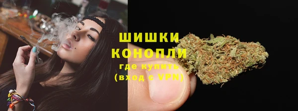 ешки Гусев