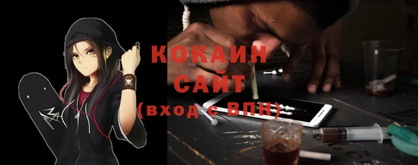 ешки Гусев