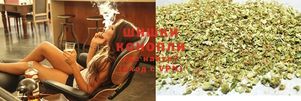 ешки Гусев