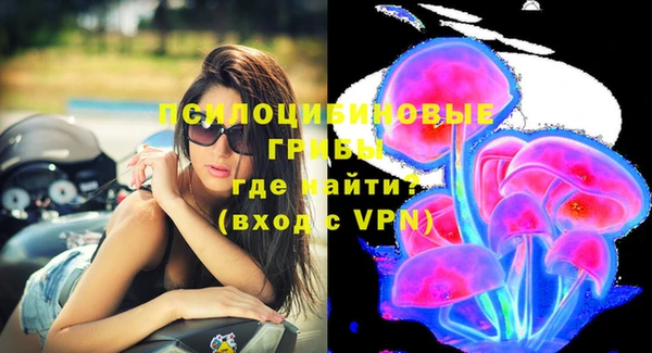 ешки Гусев
